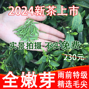 2024新茶上市信阳毛尖自产自销雨前特级嫩芽散装250g大山茶