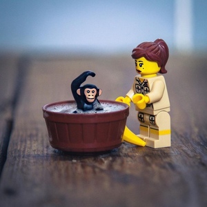 lego乐高 小颗粒动物 抽抽乐 人仔 配件 猴子 猩猩 14736手持8831