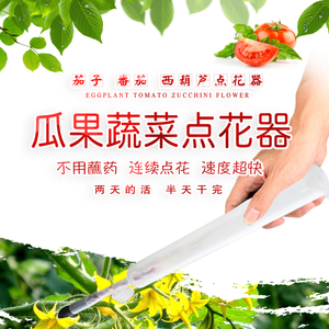 点花器 点花笔 西红柿 西葫芦 茄子点花器苗子长茄点花药点花专用