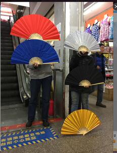 木兰金银扇应美凤