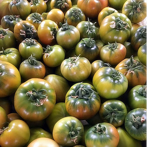 丹东东港特产 油柿子 铁柿子 腚柿 草莓柿子番茄 西红柿5斤包邮