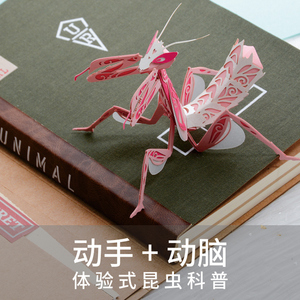 如何猫手工仿真昆虫动物拼装螳螂纸模型diy立体拼图儿童益智玩具