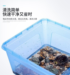 乌龟养胶盆