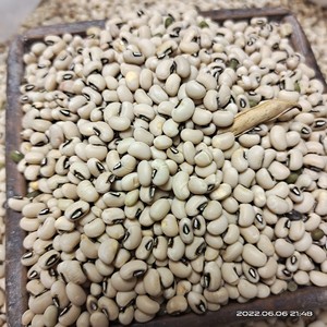 910人付款天猫扁豆种子嫩绿白眉豆紫红扁豆苗种籽刀豆架豆四川春夏季