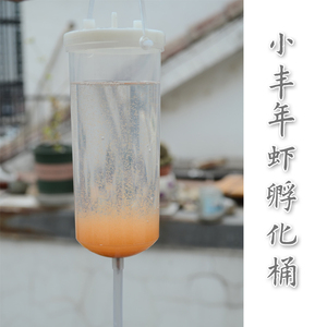 丰年虾浅盘孵化器