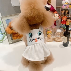 韩版宠物猫狗衣服背心裙呢料外搭可爱小兔子贵宾泰迪比熊约克夏