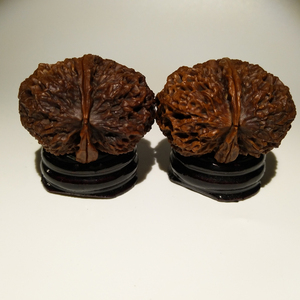 云南野生铁核桃文玩核桃金蟾疙瘩包金蟾王凌子之黑金刚