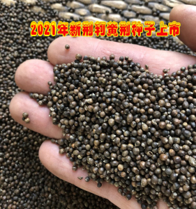 【荆条子】荆条子品牌,价格 - 阿里巴巴