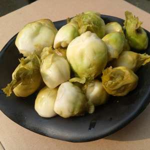 四川泡菜成都正宗泡儿菜农家自制 酸脆泡娃儿菜下饭菜500g