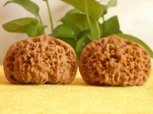 文玩核桃【王勇麒麟纹满天星官帽53mm】特大尺寸野生矮桩收藏级