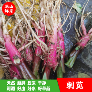 河源深山中草药生鲜红刺苋野苋菜新鲜现挖咽喉痛利湿凉肠凉血