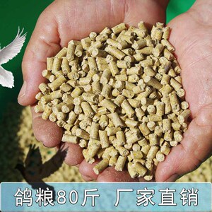 【名鸽信鸽成绩鸽血统赛鸽】名鸽信鸽成绩鸽血统赛鸽品牌,价格