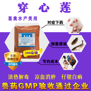 兽药穿心莲纯中药提取物清热解毒抗病毒禽用鸡鸭鹅猪用药绿色