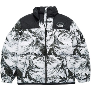 the north face北面 tnf 雪山二代营地羽绒服 情侣白鸭绒棉衣外套