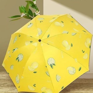 新款晴雨伞手动可爱遮阳伞折叠太阳伞卡通学生雨伞女小清新两用伞