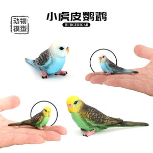 仿真野生动物模型套装虎皮鹦鹉飞禽鸟类静态实心儿童塑胶玩具礼品