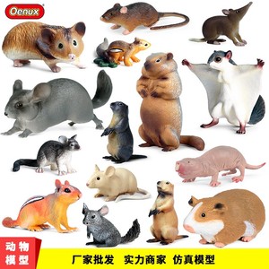 儿童玩具仿真实心野生动物模型老鼠大飞鼠豚鼠土拨鼠认知整蛊摆件