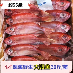 1箱大眼鸡鱼20斤 红目鱼红石斑深海野生大眼鲷新鲜冷冻龙胆鱼包邮