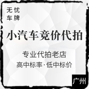 广州代拍车牌
