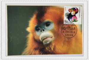 2004年1月5日甲申年猴票金丝猴极限片1盖黄山石猴观海首日风景戳