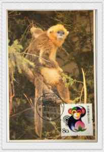 2004年1月5日甲申年猴票金丝猴极限片2盖黄山石猴观海首日风景戳