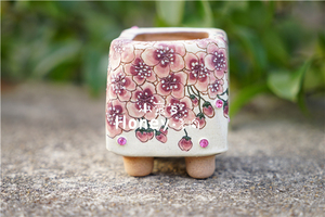 黑雪公主盆韩国