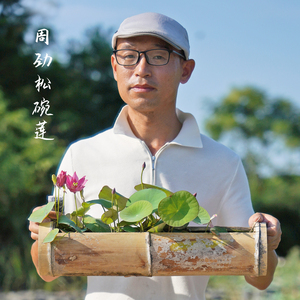 种籽已开口周劲松微型碗莲小盆栽荷花种子水生培养植物新手套餐