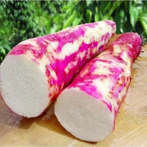 现挖脚板薯白心 农家紫淮山毛大薯非铁棍 新鲜紫皮白肉山药5斤