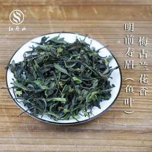 2020年春茶政和白茶梅占明前特级寿眉 鱼叶散装茶叶500克