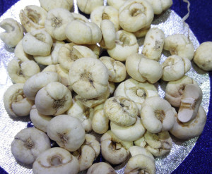 001人付款淘宝西藏贝母250g无硫熏 松贝平贝川贝 农