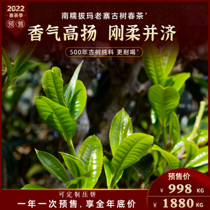 【2022头春茶预售】勐海南糯山拔玛老寨 500年纯料古树茶普洱生茶