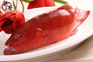 越南海鲜鲜活冷冻冰鲜红东星斑鱼600750g