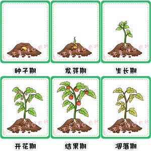 【植物记录表】植物记录表品牌,价格 - 阿里巴巴