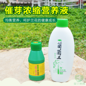 人气正品营养液兰菌王兰花君子兰生根催芽壮苗促花 四川华奕300ml