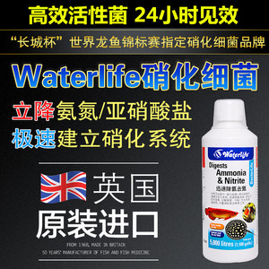 英国进口waterlife硝化细菌活性菌液养龙鱼缸超级净促销消化细菌