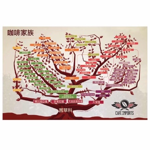 高清 咖啡品种图 家族树谱 繁体中文英文 咖啡风味轮杯测表电子档