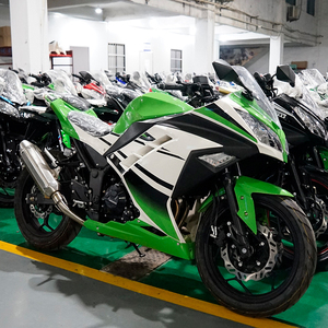 新国四小忍者摩托车跑车战隼400c双缸水冷电喷地平线上牌机车街车