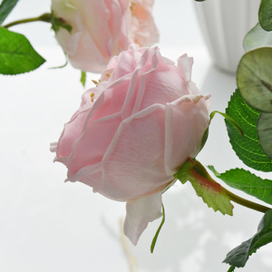 仿真保湿手感奥斯汀玫瑰客厅家居假花花束摆件月季仿真花轻奢插花