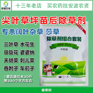 尖叶草专用除草剂