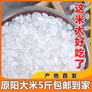 正宗河南原阳黄金晴大米23年新米现磨粳米金八素大米5斤产地发货