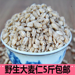 野生大麦仁米去皮5斤五谷杂粮河南农家脱皮小麦仁粥去皮麦子包邮