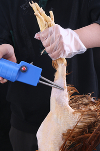 家用杀鸡鸭鹅拔毛神器杀鸭鸡拨毛器电动家禽拔毛机自动脱毛机商用