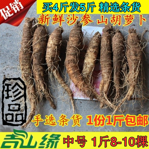 新鲜沙参500克山胡萝卜山地瓜韩国料理朝族泡菜煎沙参可榨汁沙参
