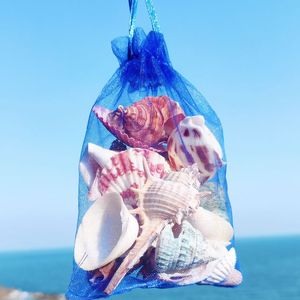 小海螺贝壳工艺品贴画手工diy材料儿童玩具贝壳鱼缸造景青岛贝壳