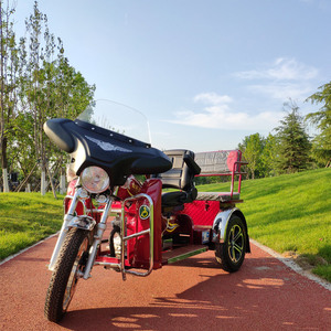 客运三轮油摩托车