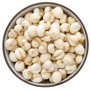 川贝母500克包邮