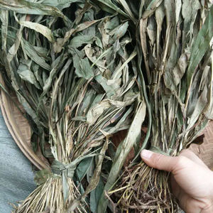 七星草野七星剑七星蕨中草药材瓦韦小叶骨七星草500g晒干