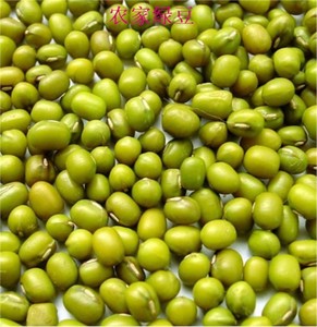 山东农家自种能生发芽绿豆汤配料优质新鲜毛绿豆500克满5斤包邮