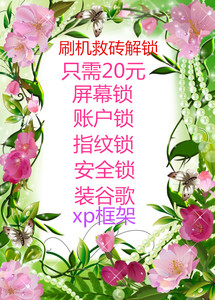 小米平板4plus vivoX27 华为P30root xp magisk框架 安装谷歌商店