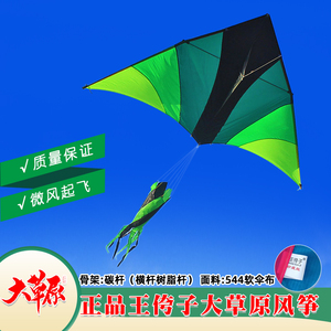 潍坊王侉子风筝2022新款伞布碳杆大草原微风大型成人高档三角风筝